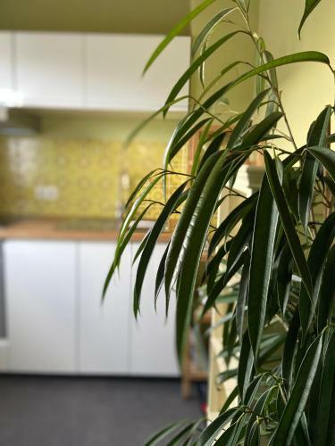 Chiemgau Apartments "bergauszeit"