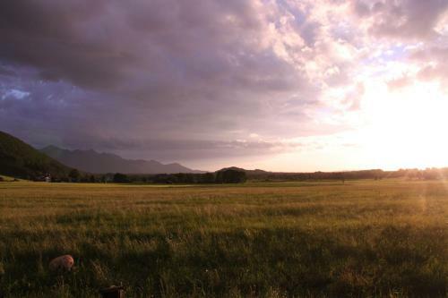 Apartamentos Ciao-aschau Bergen Fewo Alpenheide Waldhauser