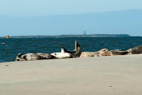 Insellandhotel Michaelsen