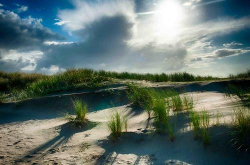 Insellandhotel Michaelsen