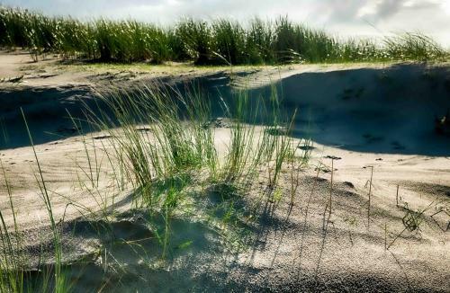 Insellandhotel Michaelsen