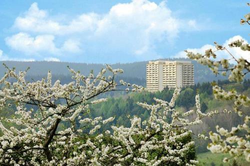 Apartamento Moderne Ferienwohnung Mit Wlan+schwimmbad+sauna