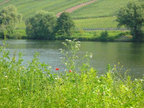Hostal Mosel-landhaus