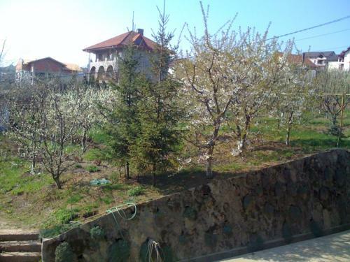Hostal Pension Garofita