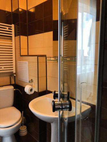 Hostal Pensiunea Aliart