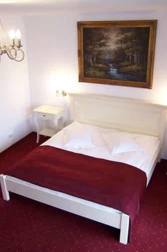 Hostal Pensiunea Velvet