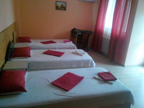 Hostal Pensiunea Nicol Tulcea