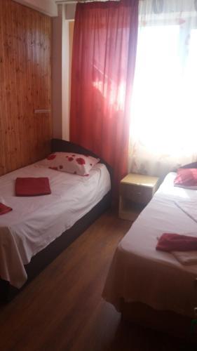 Hostal Pensiunea Nicol Tulcea