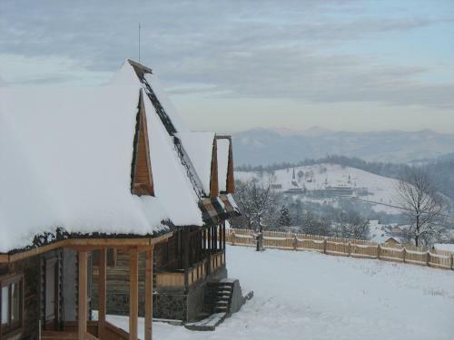 Hostal Casele De Vacanta Luca & Vicentiu