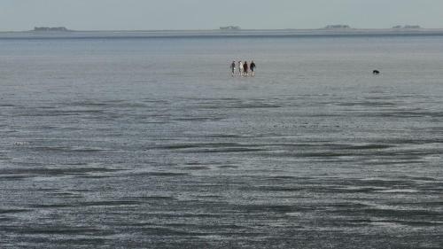 Apartamento Ferienwohnung Badedeich