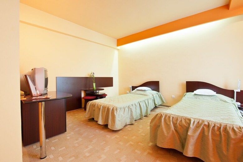 Hotel Bistrita