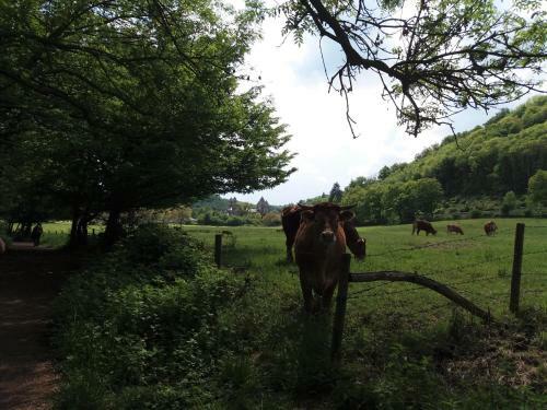 Bed & Breakfast G�stehaus Am Hochsimmer