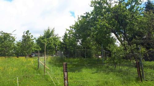 Bodensee Apartment Ailingen Onkel Fritz