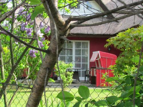 Apartamento Landhaus Uhlenhof 1