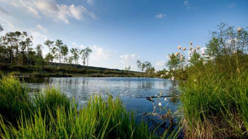 Hotel Altes Forsthaus Goseplack