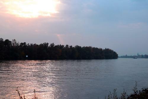 Hotel G�stehaus Rheinblick