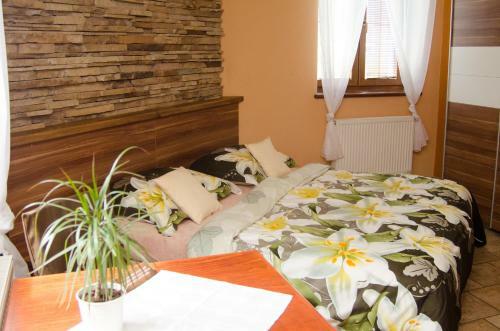 Hostal Penzion No. 1