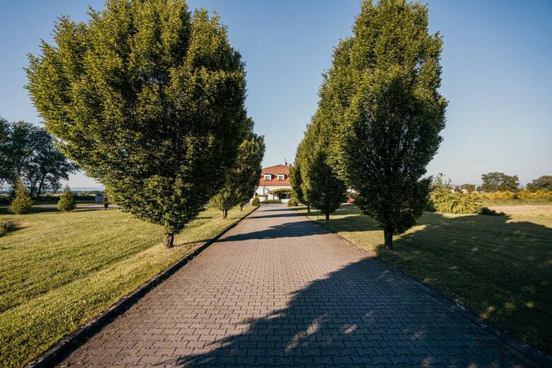 Best Western Hotel Prach�rna