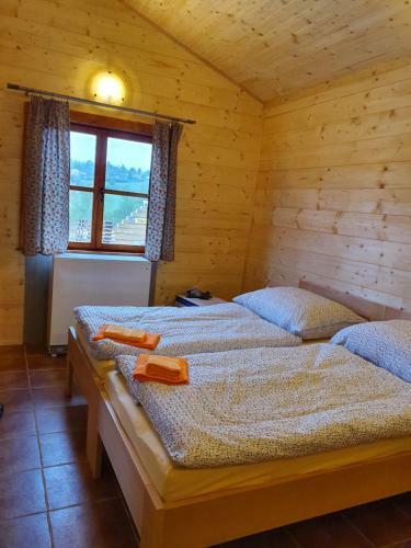 Sport-hotel Sibenicni Vrch
