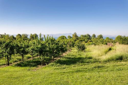 Ferienwohnpark Immenstaad Am Bodensee Nurdachhaus Typ 7 Nd 01