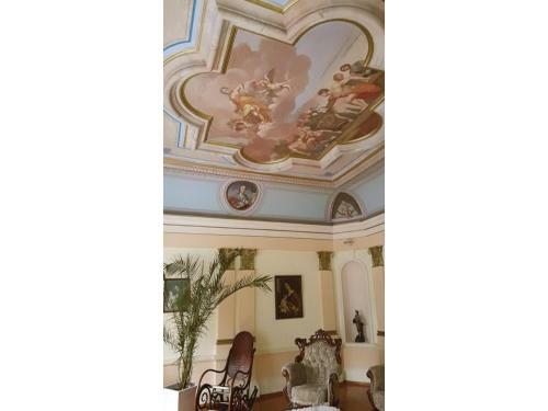 Apartment Zizkova Brana