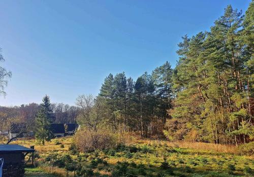 Ferienhaus Im Wald Luebberstorf We
