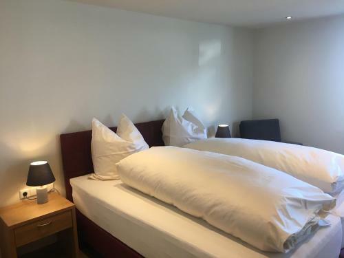 Apartamento Gasthof Zum Ochsen