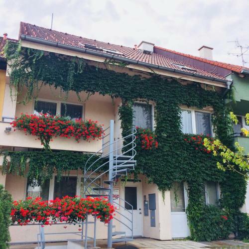 Hostal Pension Crhan