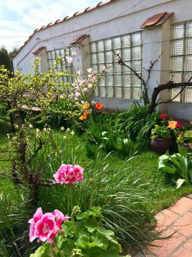 Hostal Pension Crhan