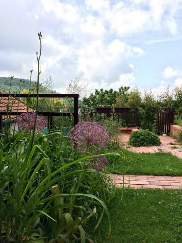 Hostal Pension Crhan
