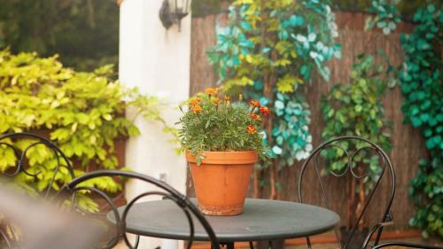 Hostal Penzion Zatisi