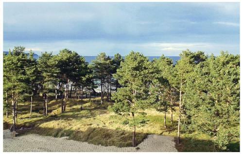 Apartamentos Prora Solitaire Sky Suite Eden
