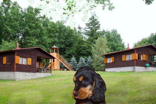 Lodge The Hideaway