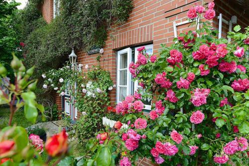 Apartamento Holiday Flat Oevenum - Dns10102f-p