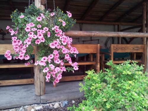 Hostal Penzion Piano Ranch