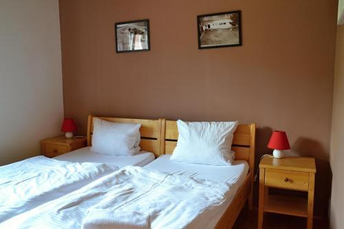 Hostal Penzion Ml�n Sedlec