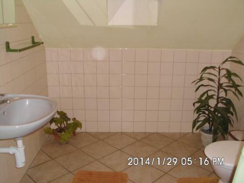 Hostal Petrovick� Ml�n