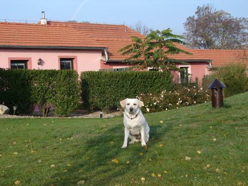 Apartamento Penzion Na Lednick�