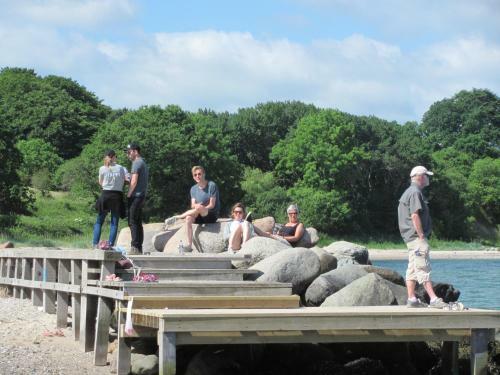 Dancamps Trelde Naes (Camp Site)