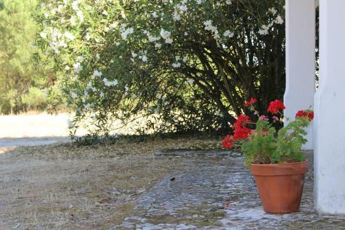 Hostal Quinta Do Valle