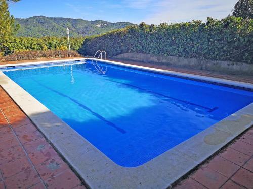 Premium Habitat La Plana