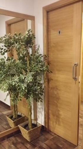 Albergue Ultreia