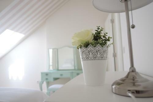 Apartamento Madalena Hermitage