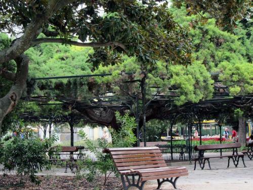 Apartamento Myplace - Lisbon Principe Real Studio