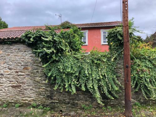 Casa Do Bosque