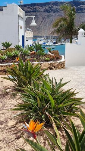 Apartamento Cal�ndula Beach 1�linea Mar