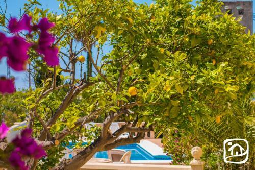 Abahana Villas Lanai
