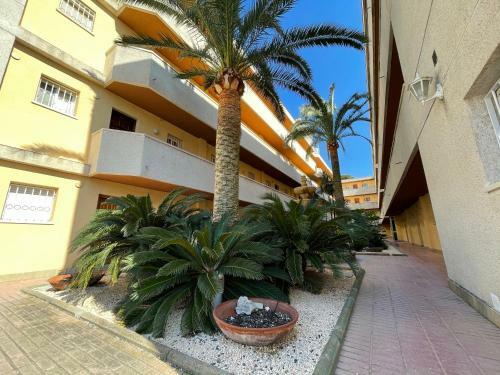 Apartamento For A Stay Tuc�n