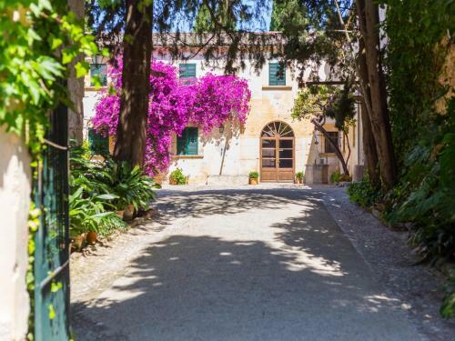 Apartamento Casita Bosque