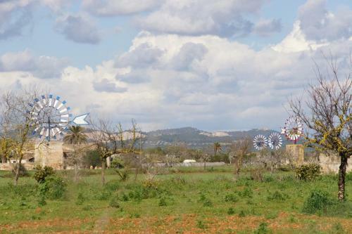 Sa Costa Campos Mallorca 411